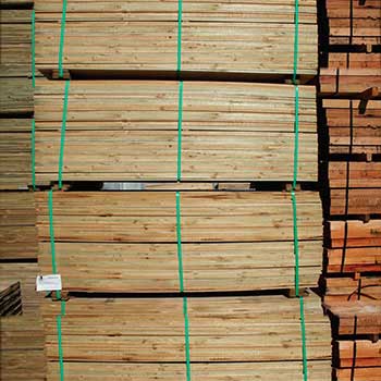 Treated Pine Fence palings 100 x 12mm Set Lengths